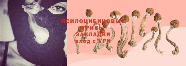 МДПВ Богородск