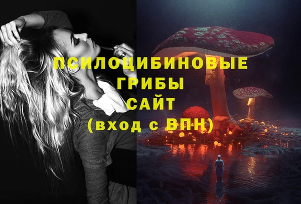 МДПВ Богородск