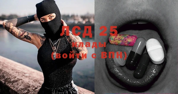 МДПВ Богородск