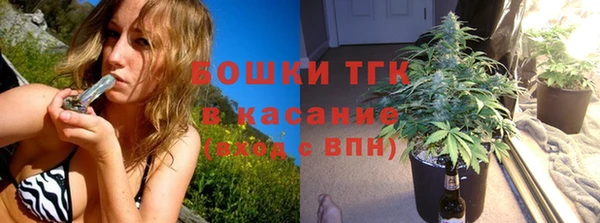 СК Богородицк