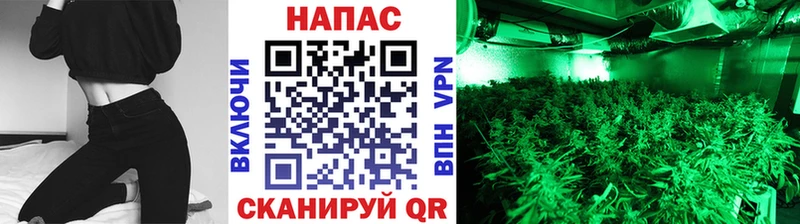 Марихуана OG Kush  магазин продажи   Курган 